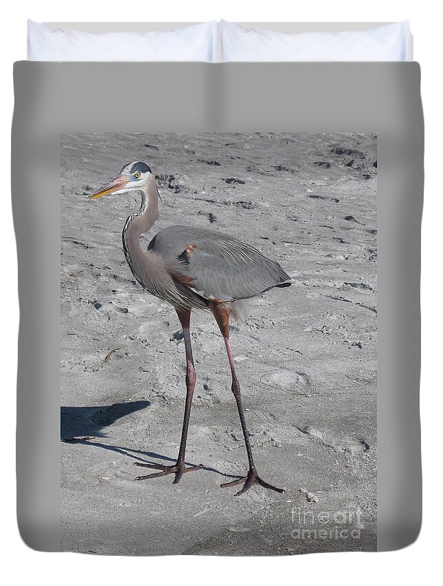 Heron Duvet Cover featuring the photograph Great Blue Heron On The Beach by Christiane Schulze Art And Photography
