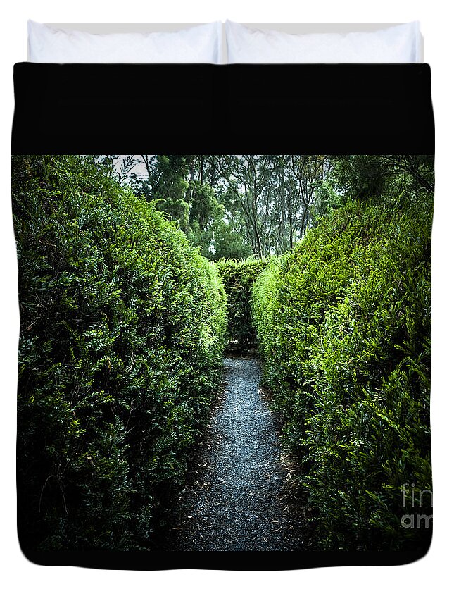 Green Nature Photo Inside Hedge Maze Duvet Cover For Sale By Jorgo