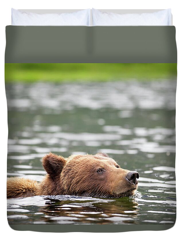 Brown Bear Duvet Cover featuring the photograph Grizzly Bear Ursus Arctos Horribilis #1 by Richard Wear / Design Pics