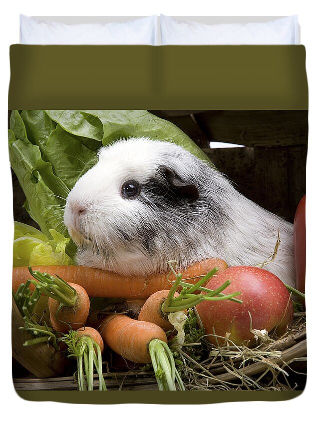 Guinea Pig Duvet Cover featuring the photograph Guinea Pig #1 by Jean-Michel Labat