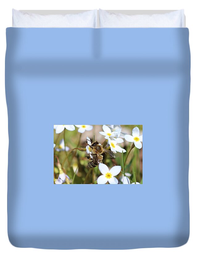 Honeybee Duvet Cover featuring the photograph Honeybee on Bluet #2 by Lucinda VanVleck