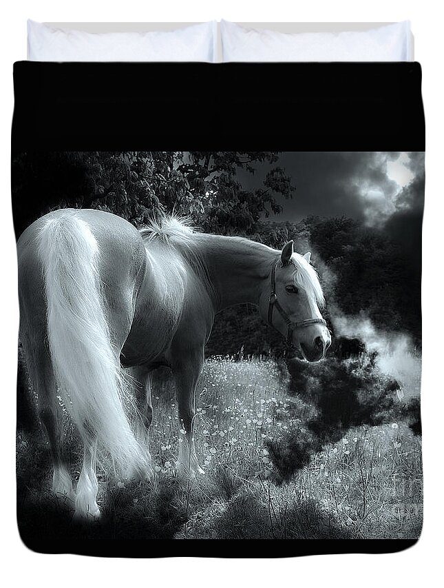 Horse Duvet Cover featuring the photograph Horse #1 by Christine Sponchia