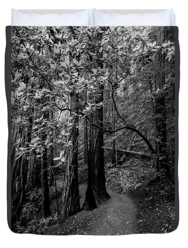 California Duvet Cover featuring the photograph In the Woods #2 by Alexander Fedin