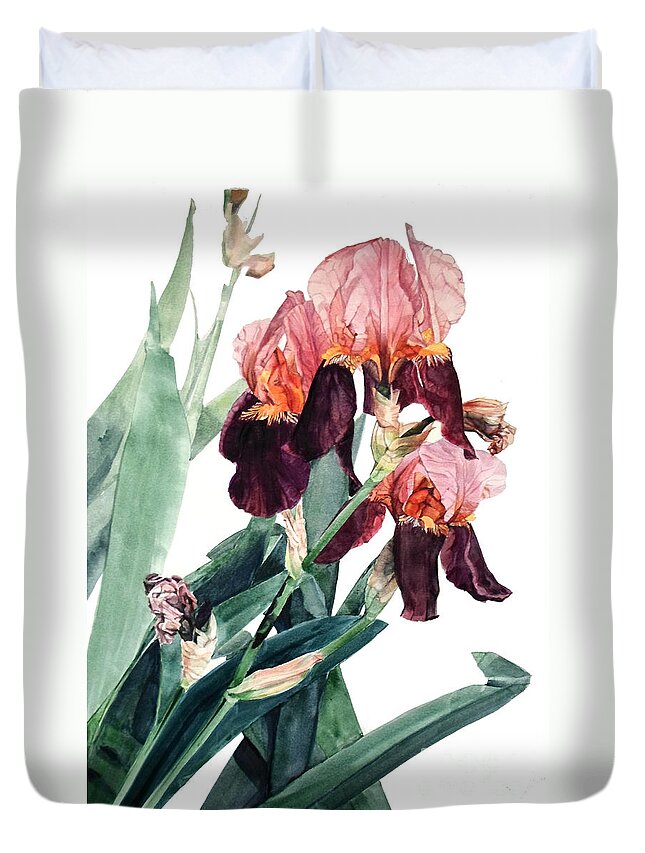Watercolor Duvet Cover featuring the painting Watercolor of a Pink and Maroon Tall Bearded Iris I call Iris La Forza del Destino by Greta Corens