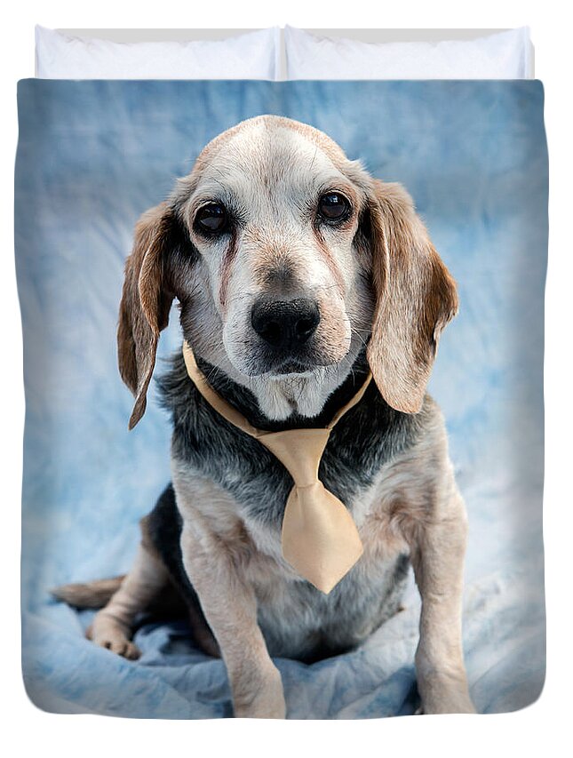 Beagle Duvet Cover featuring the photograph Kippy Beagle Senior by Iris Richardson