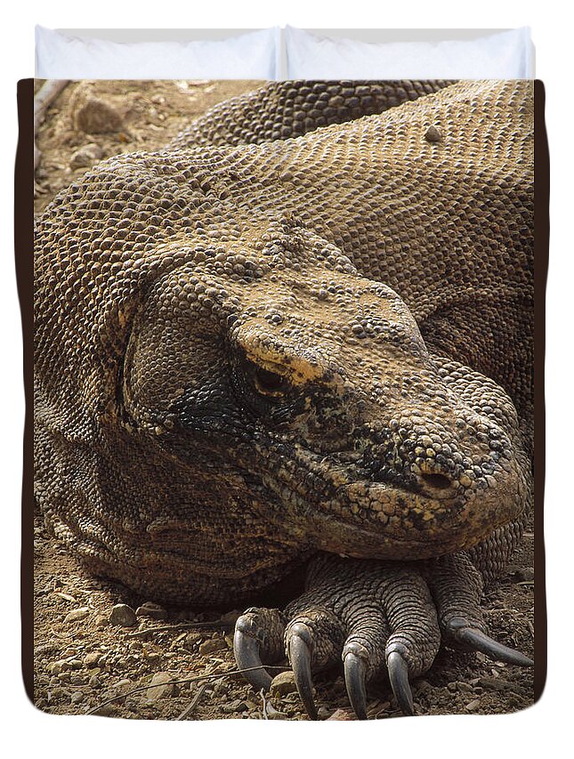 Feb0514 Duvet Cover featuring the photograph Komodo Dragon Male Basking Komodo Island #1 by Tui De Roy