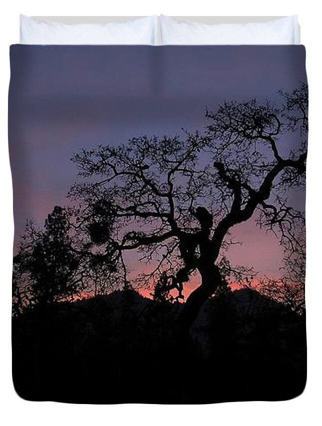 Landscape Duvet Cover featuring the photograph Lights Out #1 by Julia Hassett