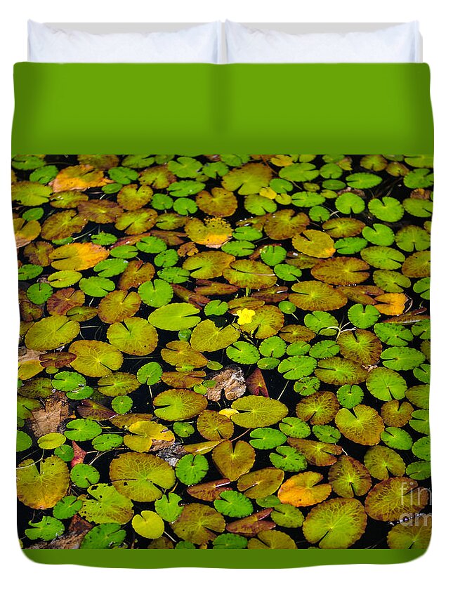 Lilly Pond Duvet Cover featuring the photograph Lilly Pond #1 by Dale Powell