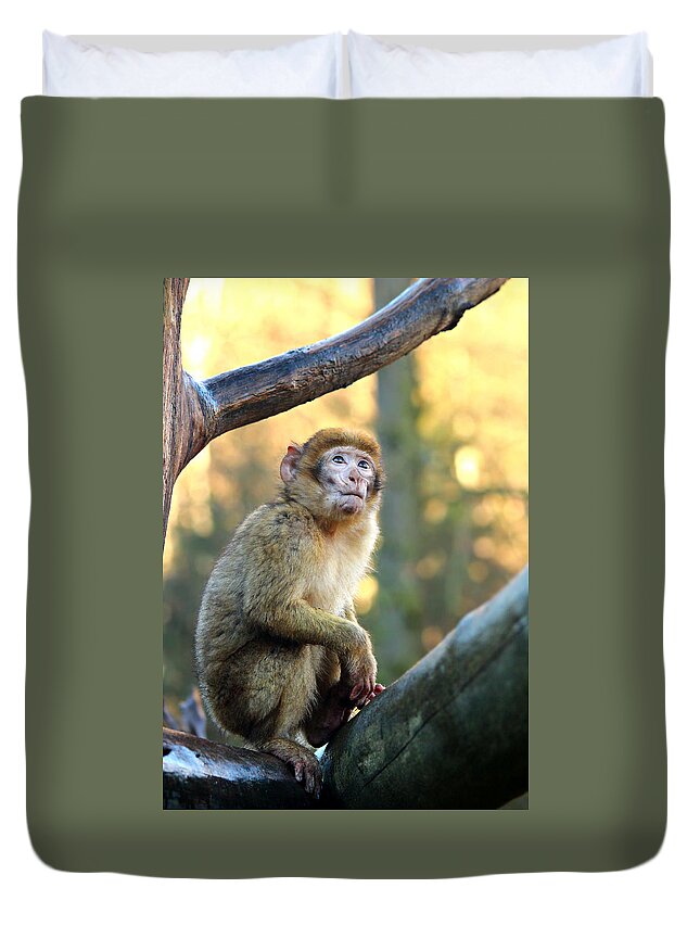 Monkey Duvet Cover featuring the photograph Little Monkey #1 by Heike Hultsch