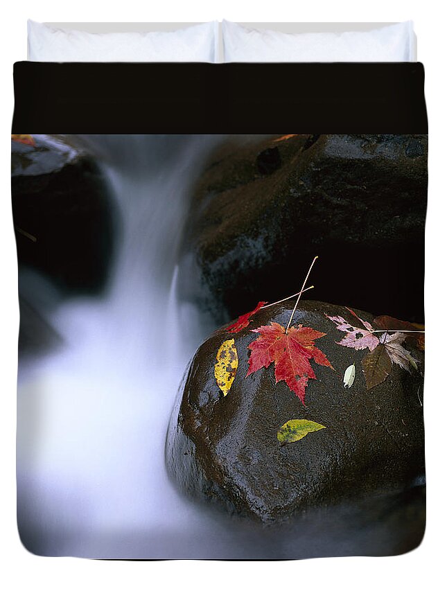 Feb0514 Duvet Cover featuring the photograph Little Pigeon River And Fall Maple #1 by Tim Fitzharris