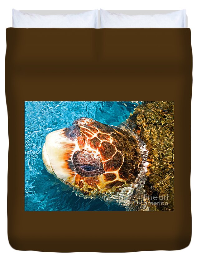 Nature Duvet Cover featuring the photograph Loggerhead Sea Turtle #16 by Millard H Sharp