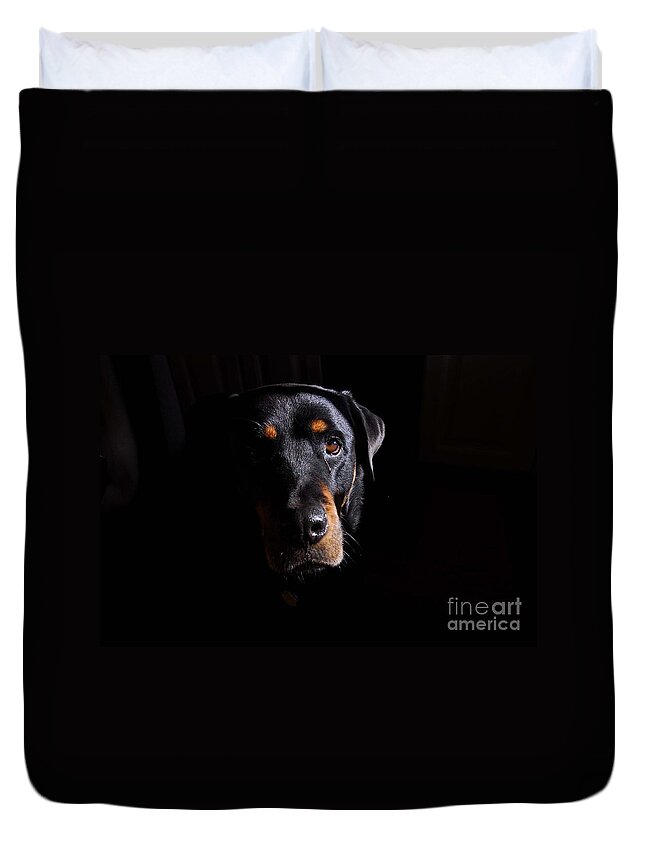 Dogs Duvet Cover featuring the photograph Mandy #1 by Cindy Manero
