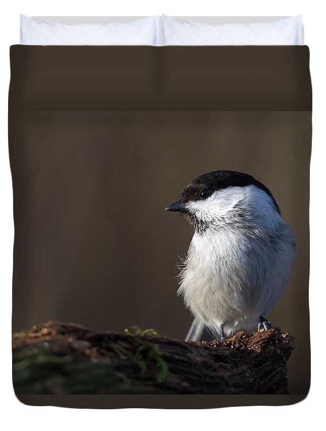 Marsh Tit Duvet Cover featuring the photograph Marsh Tit by Torbjorn Swenelius