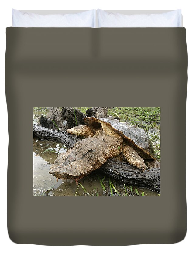 Matamata Turtle Duvet Cover featuring the photograph Mata Mata Turtle #1 by M. Watson