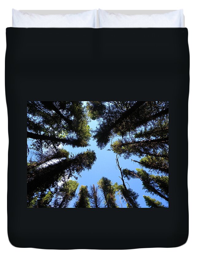 Nature Duvet Cover featuring the photograph Meditation #1 by James Petersen