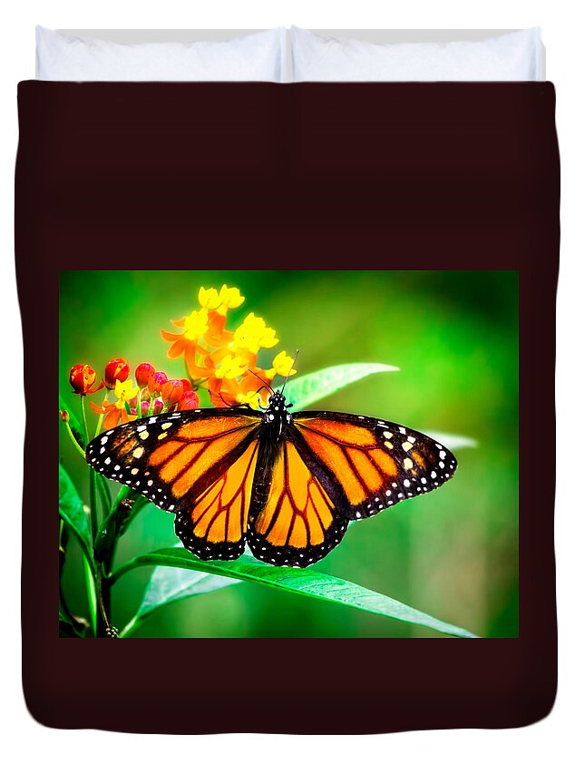 Monarch Butterfly Duvet Cover featuring the photograph Monarch Butterfly #2 by Mark Andrew Thomas