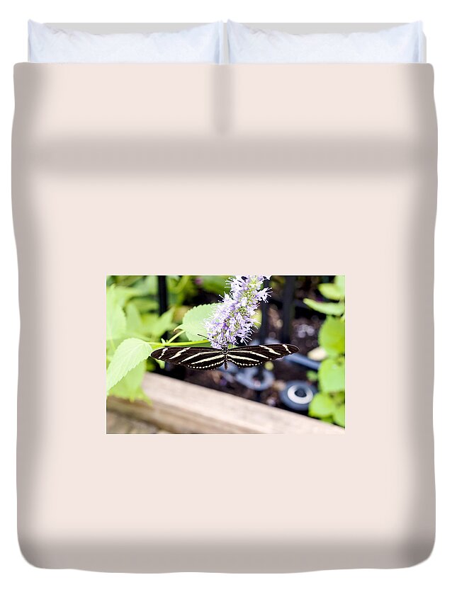 Nj Duvet Cover featuring the photograph Zebra III by Pablo Rosales