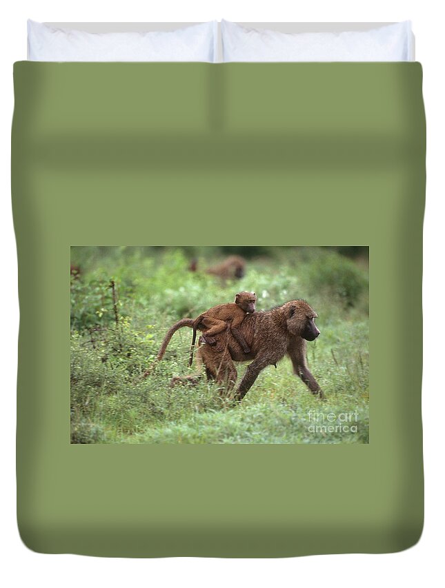 Olive Baboon Duvet Cover featuring the photograph Olive Baboon #1 by Art Wolfe
