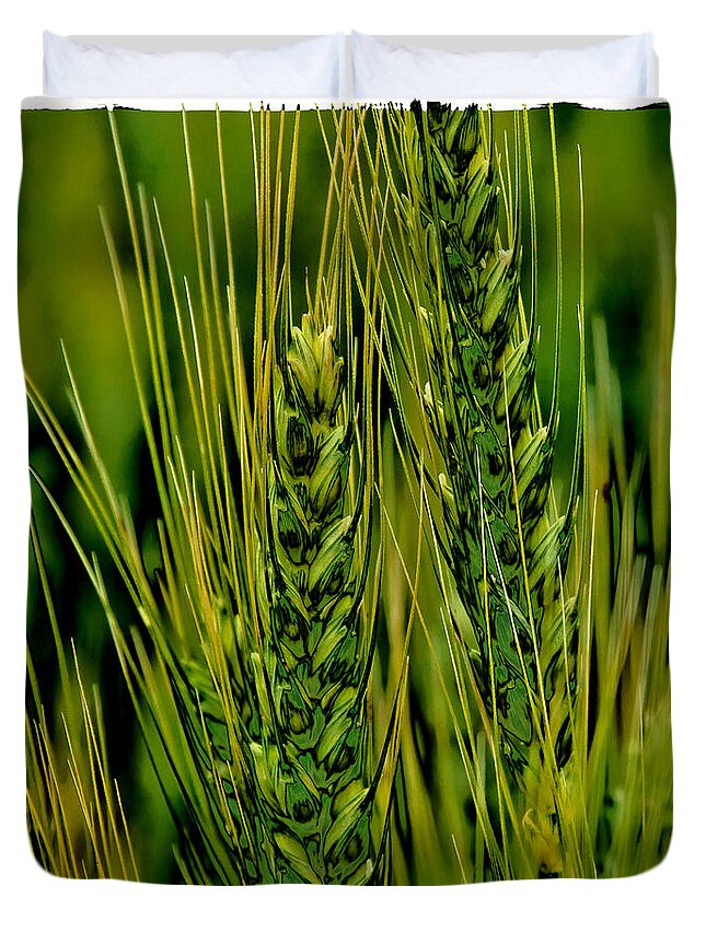 Wheat Duvet Cover featuring the photograph Palouse Wheat IV by David Patterson