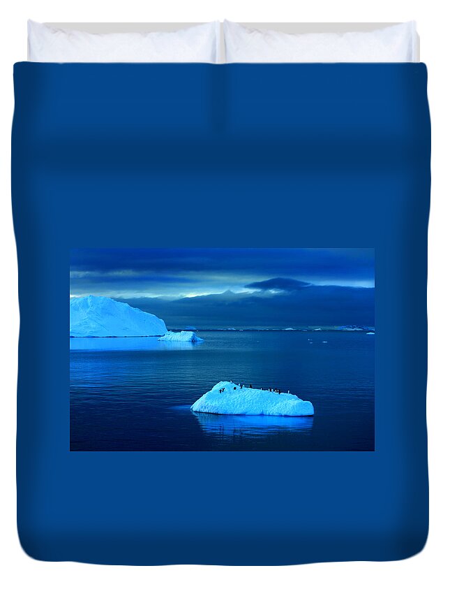 Icebergs Duvet Cover featuring the photograph Penguins on Iceberg #1 by Amanda Stadther