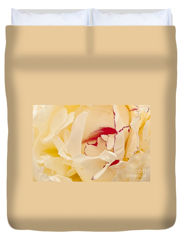 Flower Duvet Cover featuring the photograph Peony by Steven Ralser