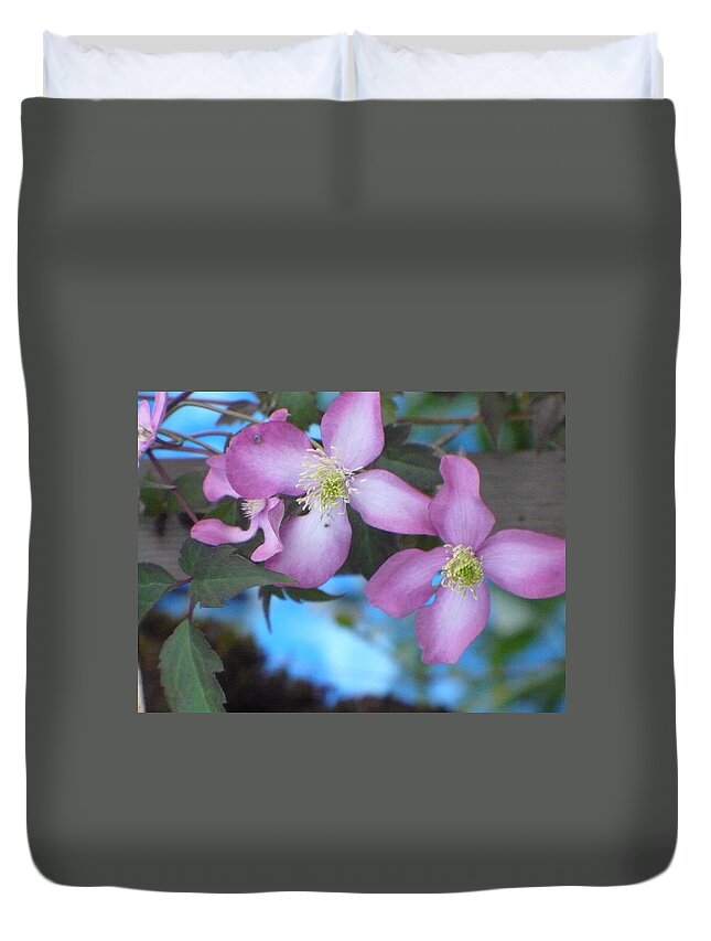 Pink Duvet Cover featuring the photograph Pink Clematis #1 by Nicki Bennett