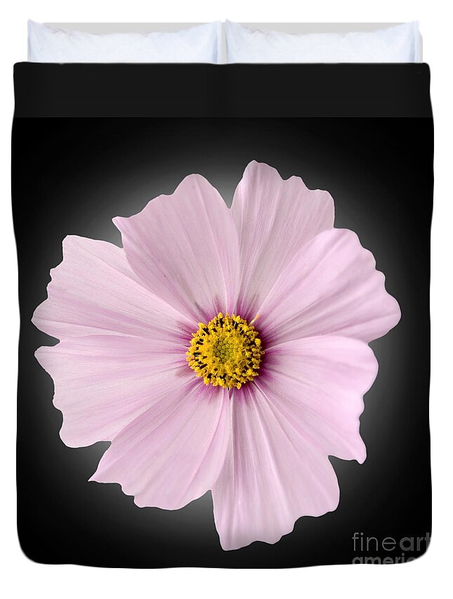 Pink Duvet Cover featuring the photograph Pink Coreopsis Daisy #4 by Tony Cordoza