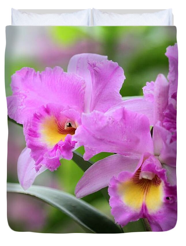 Orchid Duvet Cover featuring the photograph Pink Orchids #1 by Sabrina L Ryan
