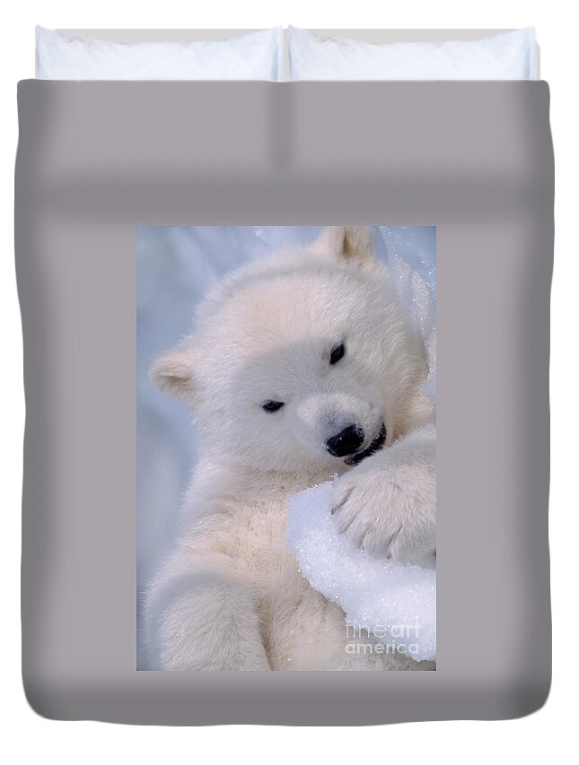 Bear Duvet Cover featuring the photograph Polar Bear Cub #1 by Mark Newman