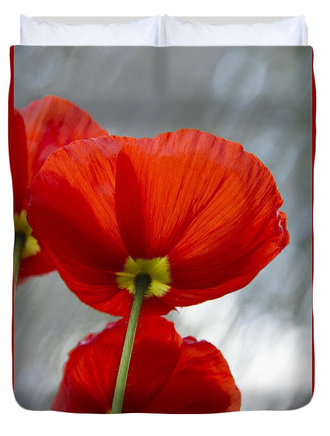 Poppy Duvet Cover featuring the photograph Poppy #1 by Chris Smith