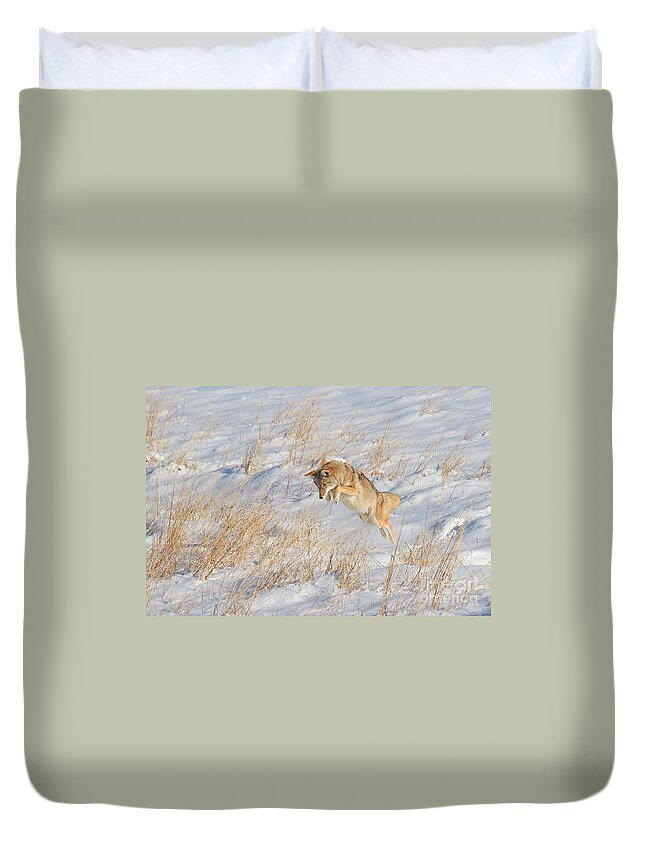 Coyote Duvet Cover featuring the photograph The High Jump by Jim Garrison