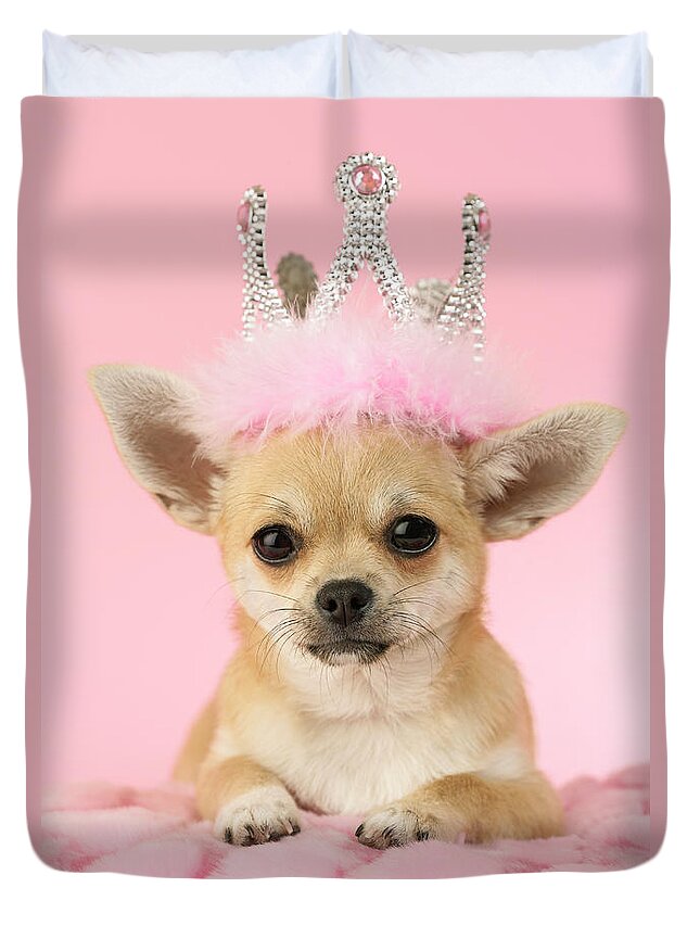Queen Chihuahua Duvet Cover For Sale By Mgl Meiklejohn Graphics