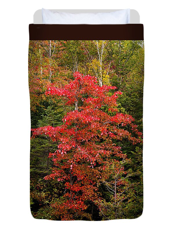 Red Duvet Cover featuring the photograph Red maple tree #1 by Les Palenik
