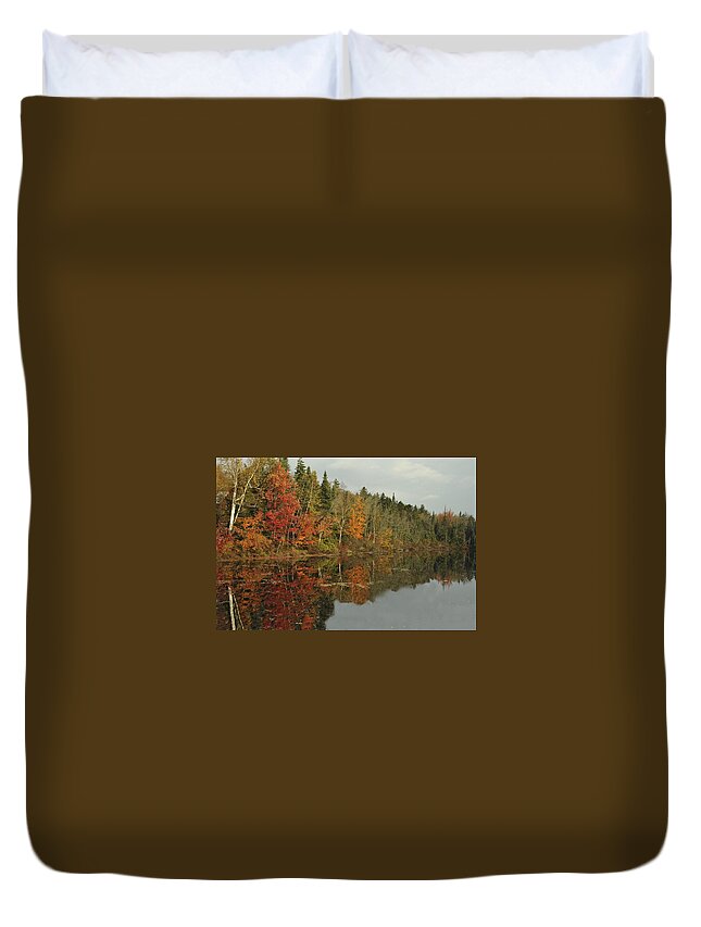 Photograph Duvet Cover featuring the photograph Tree Reflections by Richard Gehlbach