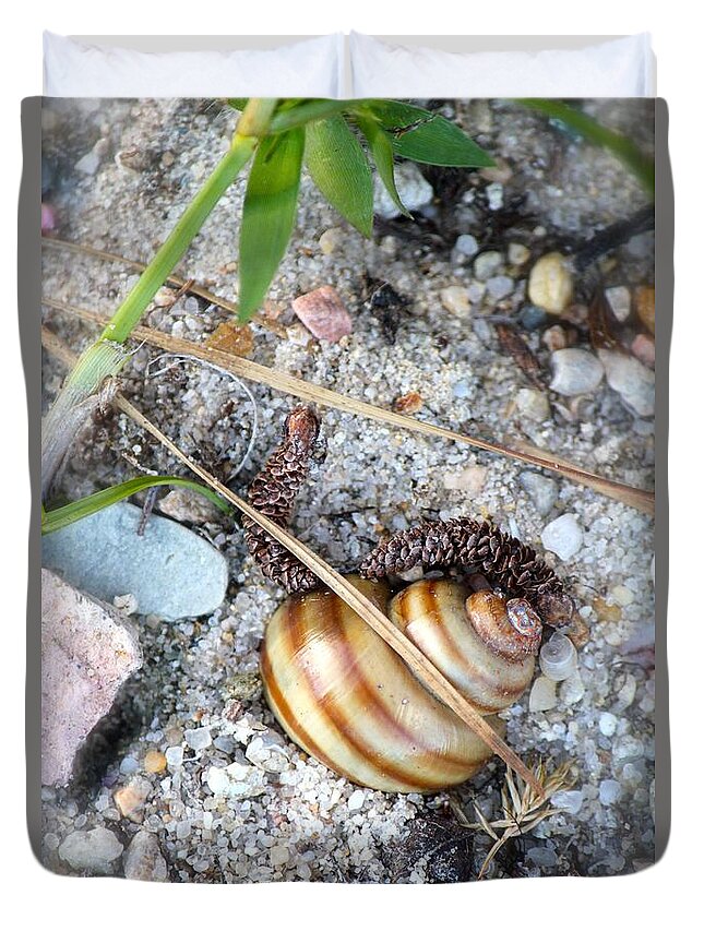 Seashells Duvet Cover featuring the photograph Resting #1 by Deena Withycombe