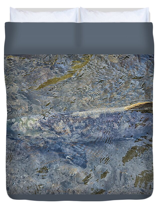 Animals Duvet Cover featuring the digital art Salmon Spawning #1 by Carol Ailles