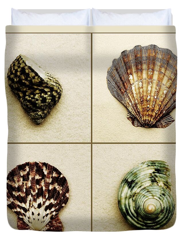 4 Of A Kind Duvet Cover featuring the photograph Seashell Composite #1 by Darren Greenwood