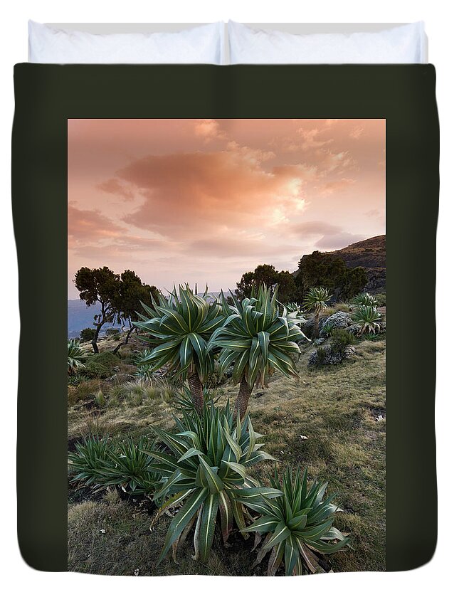 Simien Mountains Duvet Cover featuring the photograph Simien Escarpment Landscape At Sunrise #1 by John Elk