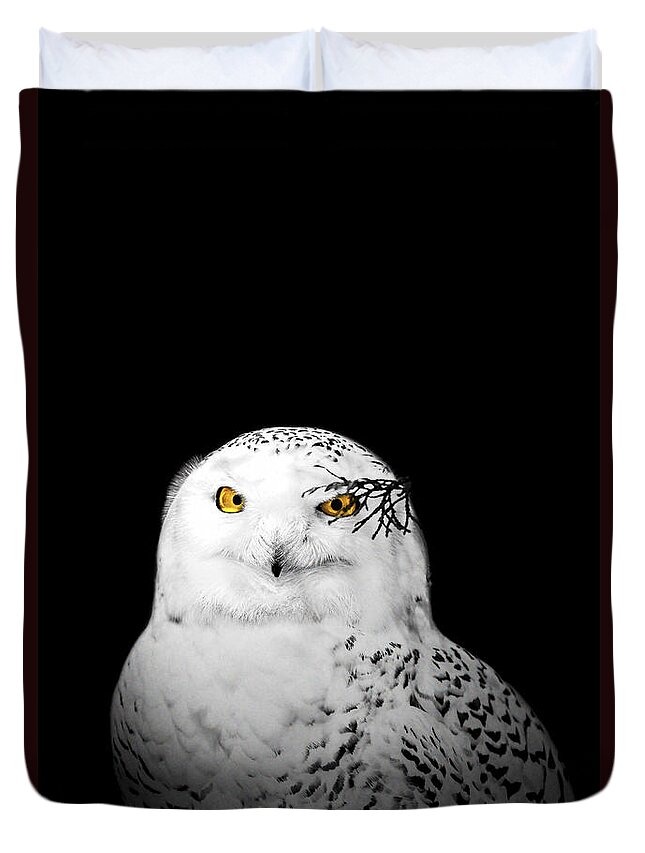 Animal Duvet Cover featuring the photograph Snowy Owl #1 by Peter Lakomy