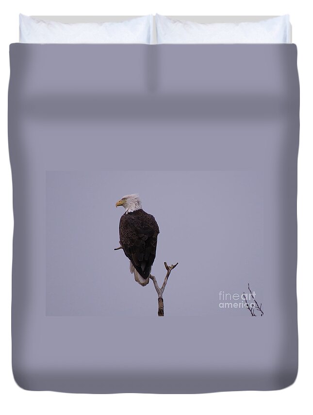 Nature Duvet Cover featuring the photograph Solo Bald Eagle by Mary Mikawoz