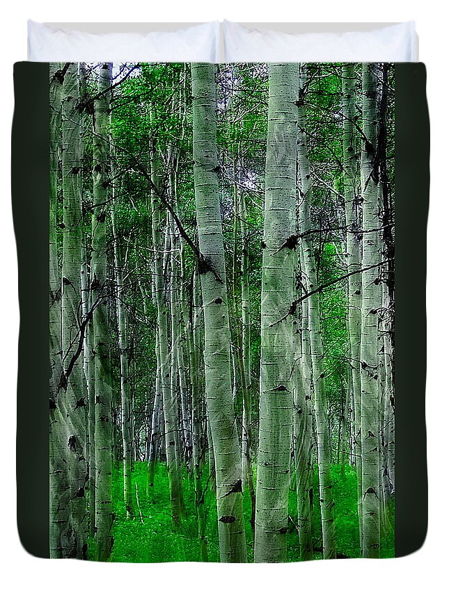 Spectacular Duvet Cover featuring the photograph Spectacular Aspens #1 by Cindy Greenstein