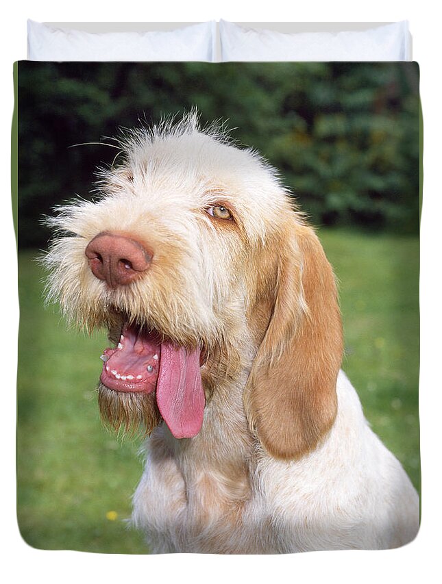 Spinone Duvet Cover featuring the photograph Spinone Dog #1 by John Daniels