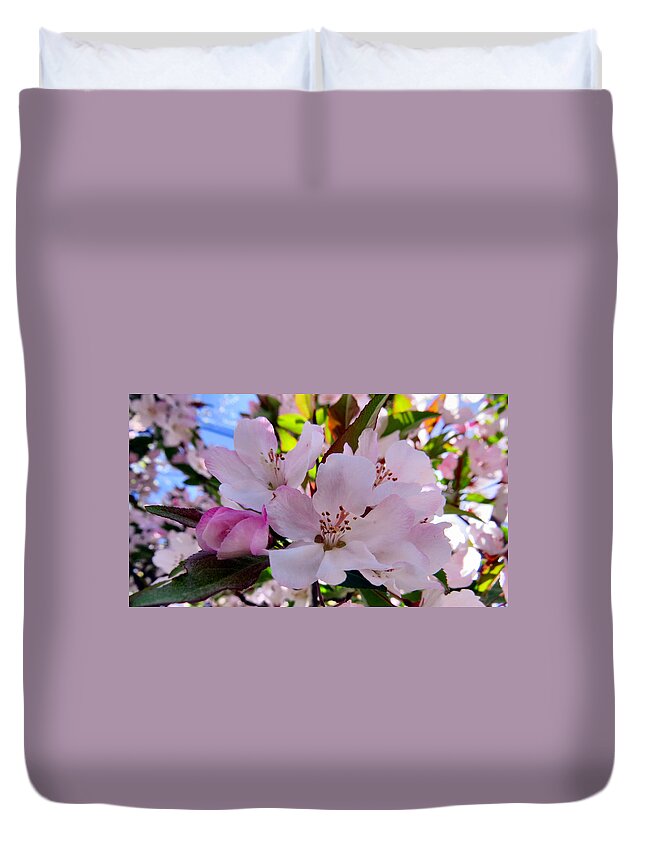 Sun Duvet Cover featuring the photograph Spring Form #1 by Art Dingo