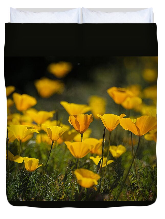Poppies Duvet Cover featuring the photograph Springtime Poppies #2 by Saija Lehtonen