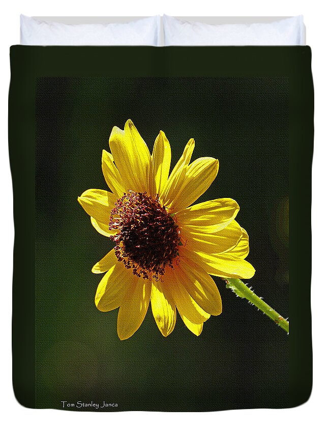 Sunflower Duvet Cover featuring the photograph Sunflower #1 by Tom Janca