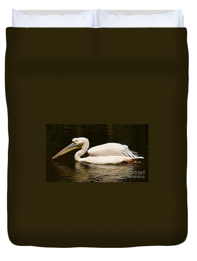 Animal Duvet Cover featuring the photograph Swimming Pink Pelican #1 by Nick Biemans