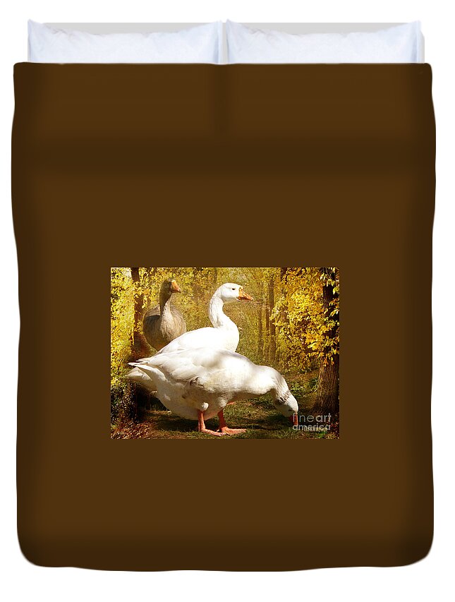 Three Duvet Cover featuring the photograph Three Geese a Grazing by Chris Armytage