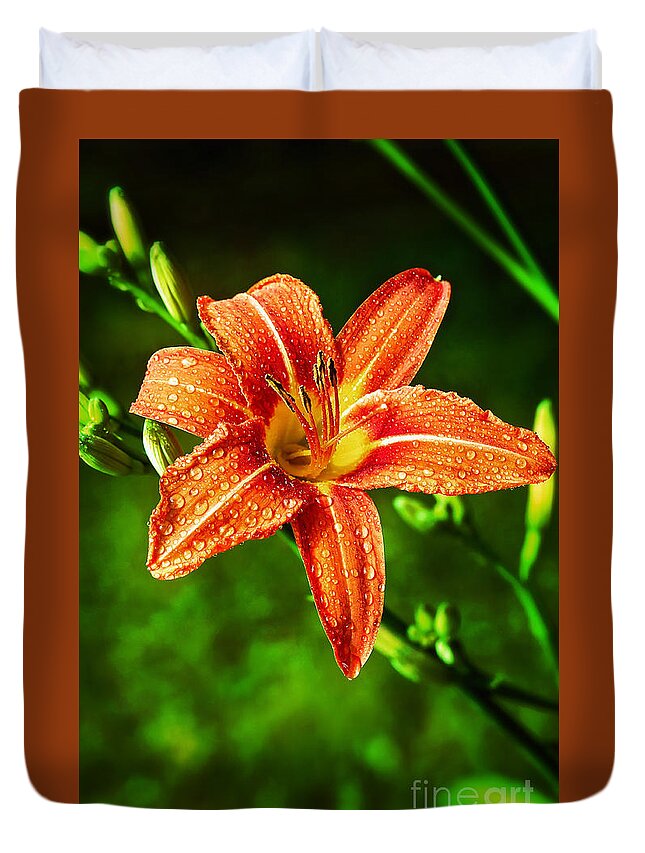 Tiger Lily Duvet Cover featuring the photograph Tiger Lily Print by Gwen Gibson