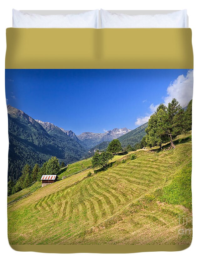Alpine Duvet Cover featuring the photograph Trentino - Pejo valley #1 by Antonio Scarpi