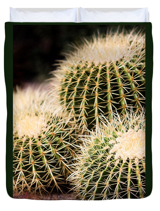 Botanical Duvet Cover featuring the photograph Triple Cactus #2 by John Wadleigh